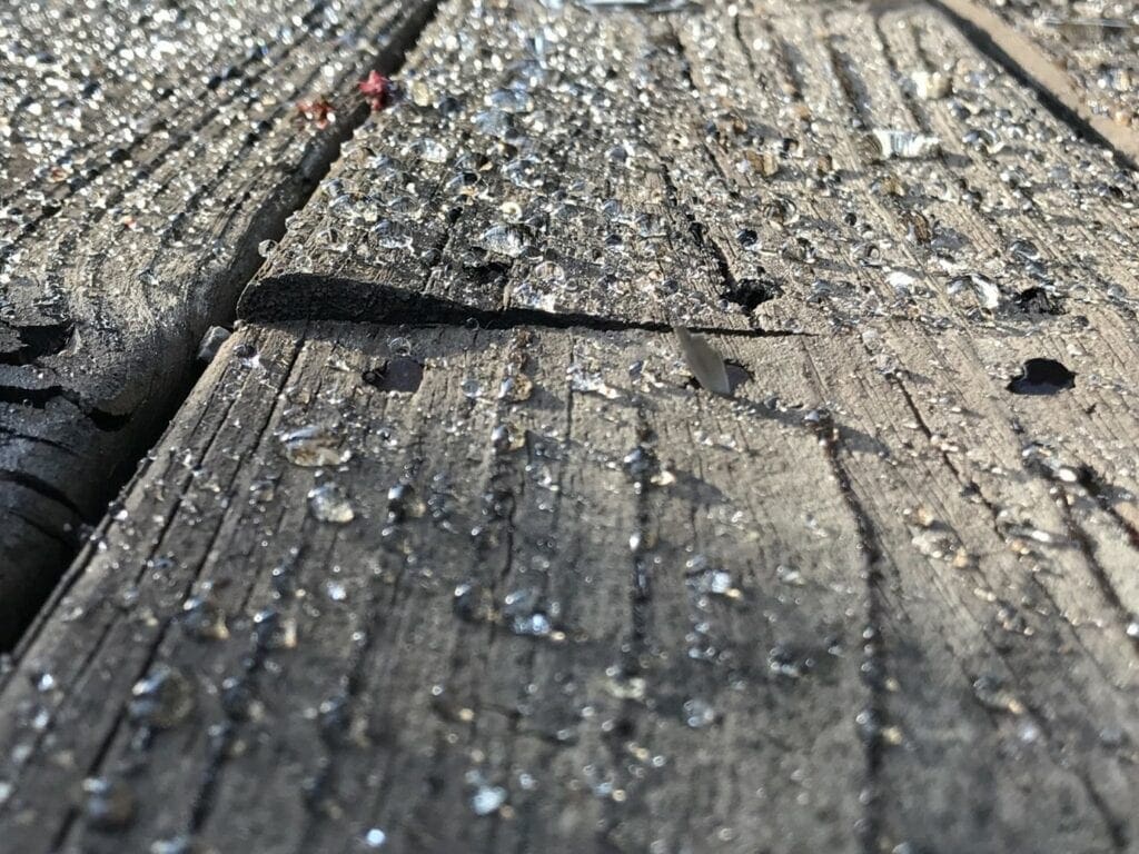 damaged composite decking Deckorum