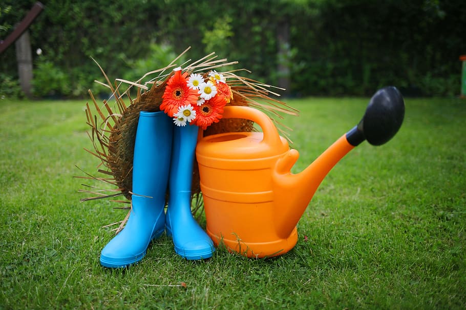 Best 14 Essential Tools For Gardening