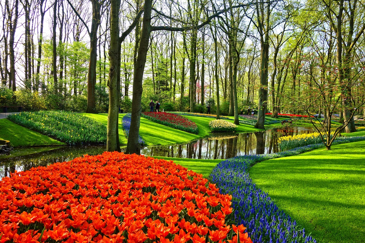 Blooming Beauty: The Magic of Flower Beds